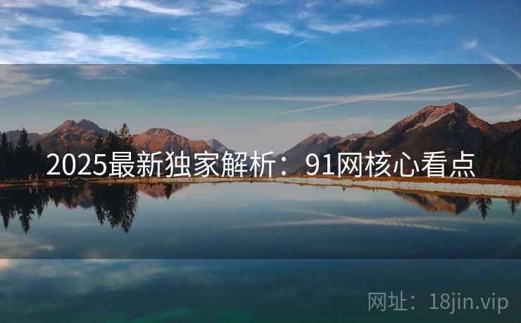 2025最新独家解析：91网核心看点