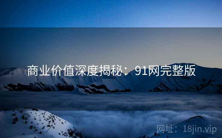 商业价值深度揭秘：91网完整版