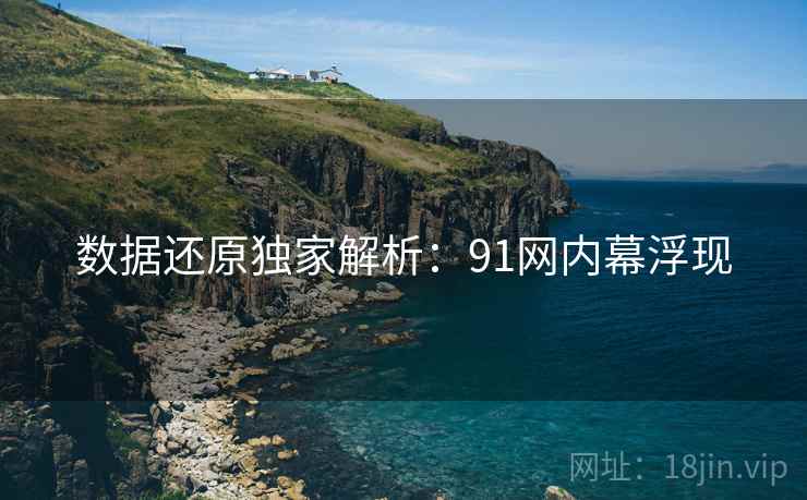 数据还原独家解析：91网内幕浮现
