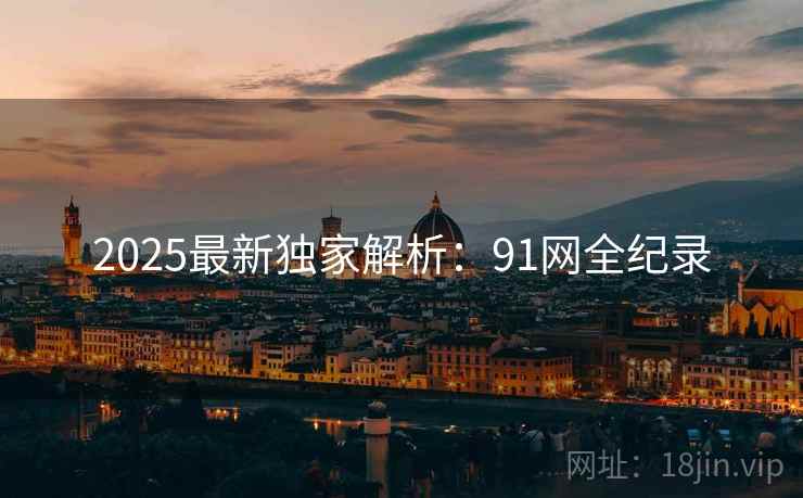 2025最新独家解析：91网全纪录