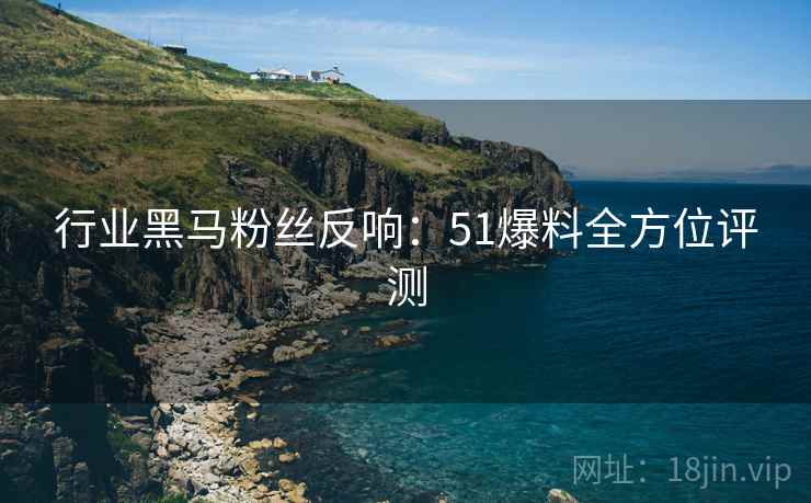 行业黑马粉丝反响：51爆料全方位评测