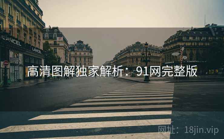 高清图解独家解析：91网完整版