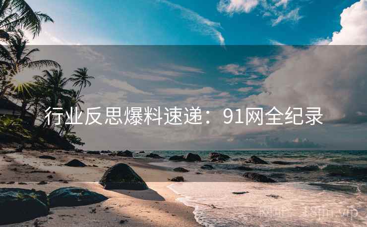 行业反思爆料速递：91网全纪录