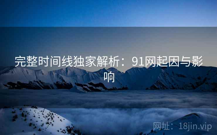 完整时间线独家解析：91网起因与影响