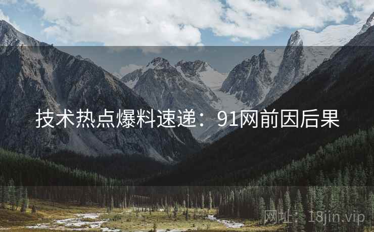 技术热点爆料速递：91网前因后果