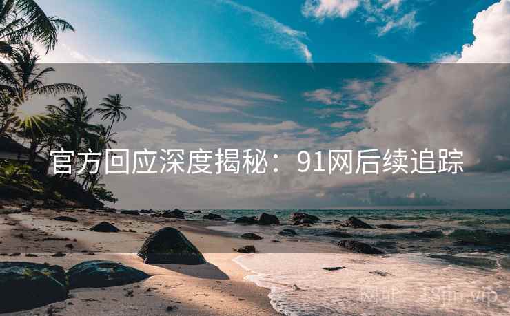 官方回应深度揭秘：91网后续追踪