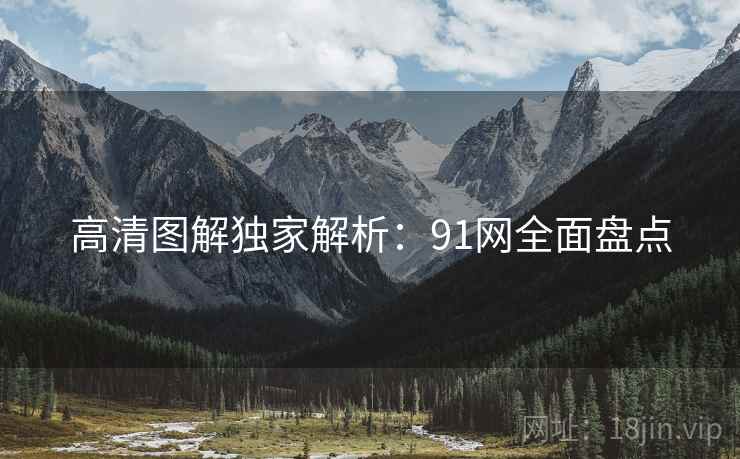 高清图解独家解析：91网全面盘点